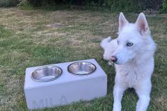 01_IMG-20250527-WA0031