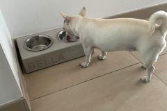 02_IMG-20250527-WA0033